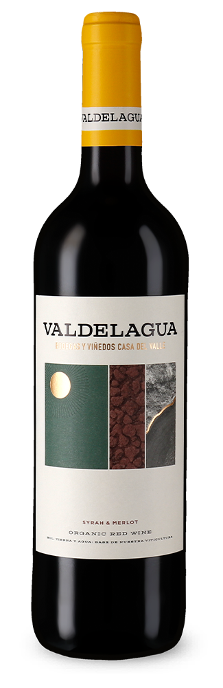 Casa del Valle Valdelagua Syrah & Merlot Bio 2022