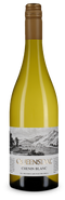 Queensdal Chenin Blanc 2024 – Wein des Jahres