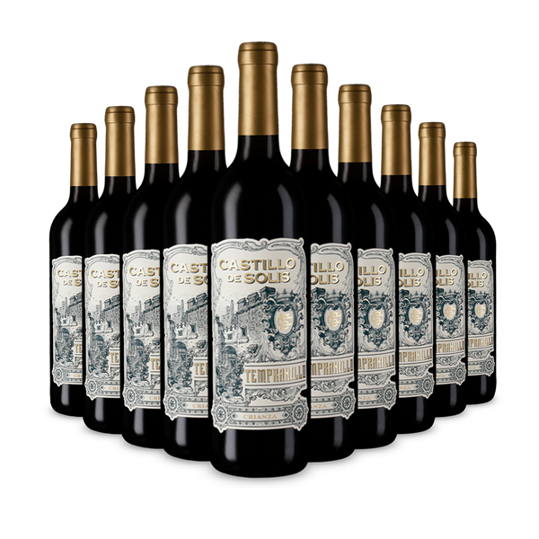 10 Flaschen Castillo de Solis Tempranillo Crianza 2020